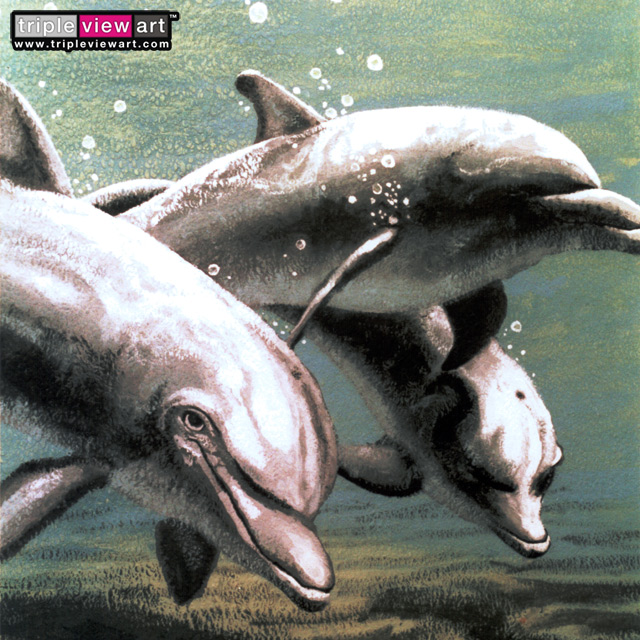 "Dolphins" UV-Blacklight & Glow-In-The-Dark Postcard