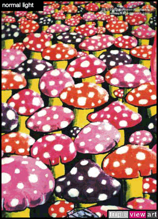 Mushrooms is a uv (ultraviolet) blacklight fluorescent and glow-in-the-dark phosphorescent afterglow poster/postcard print, made from the original psychedelic spiritual visionary fantasy fine art backdrop painting by symeon nostrakis of 333artworks/tripleviewart, and depicting a magic landsape of amanita (fly agaric) mushrooms forest, standing as a symbol of the earth
