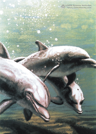 Dolphins is a poster/postcard print, made from the original psychedelic spiritual visionary fantasy fine art mural painting by symeon nostrakis of 333artworks/tripleviewart, and depicting a photorealistic (photorealism) underwater scene: dolphins swiming in the sea water, and a spiral of bubbles in the seascape